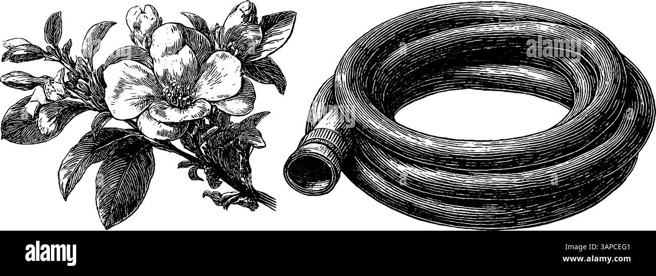 Gravierte Illustration Set von Galaxien-Wirbel für kosmische Kunst Design. Stock Vektor