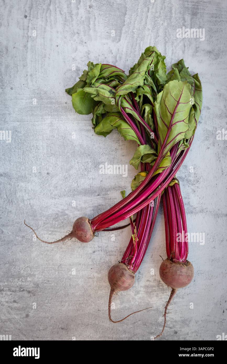 Gebündelte Rote Bete mit Rote Bete-Spitzen aus einer Kleingartenanlage in Großbritannien Stockfoto