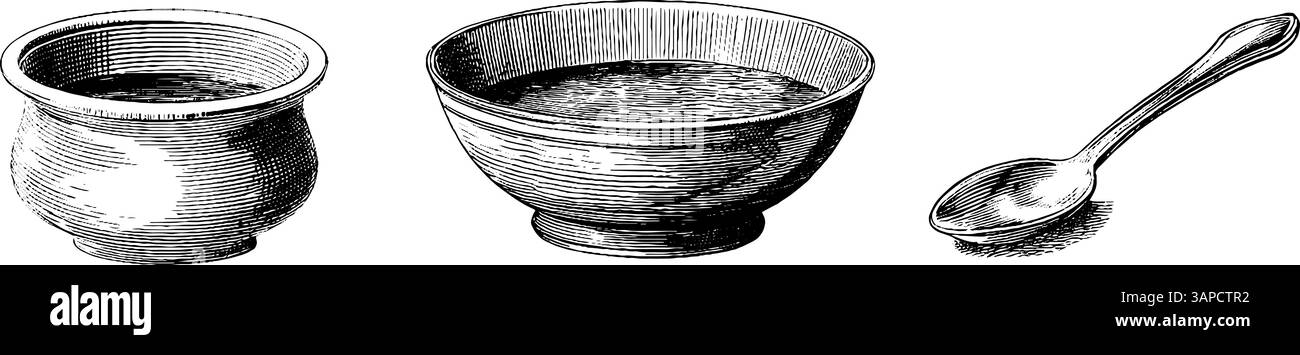 Antike Meereslebekollektion mit Muschelkorallen und Krabben Illustration. Stock Vektor
