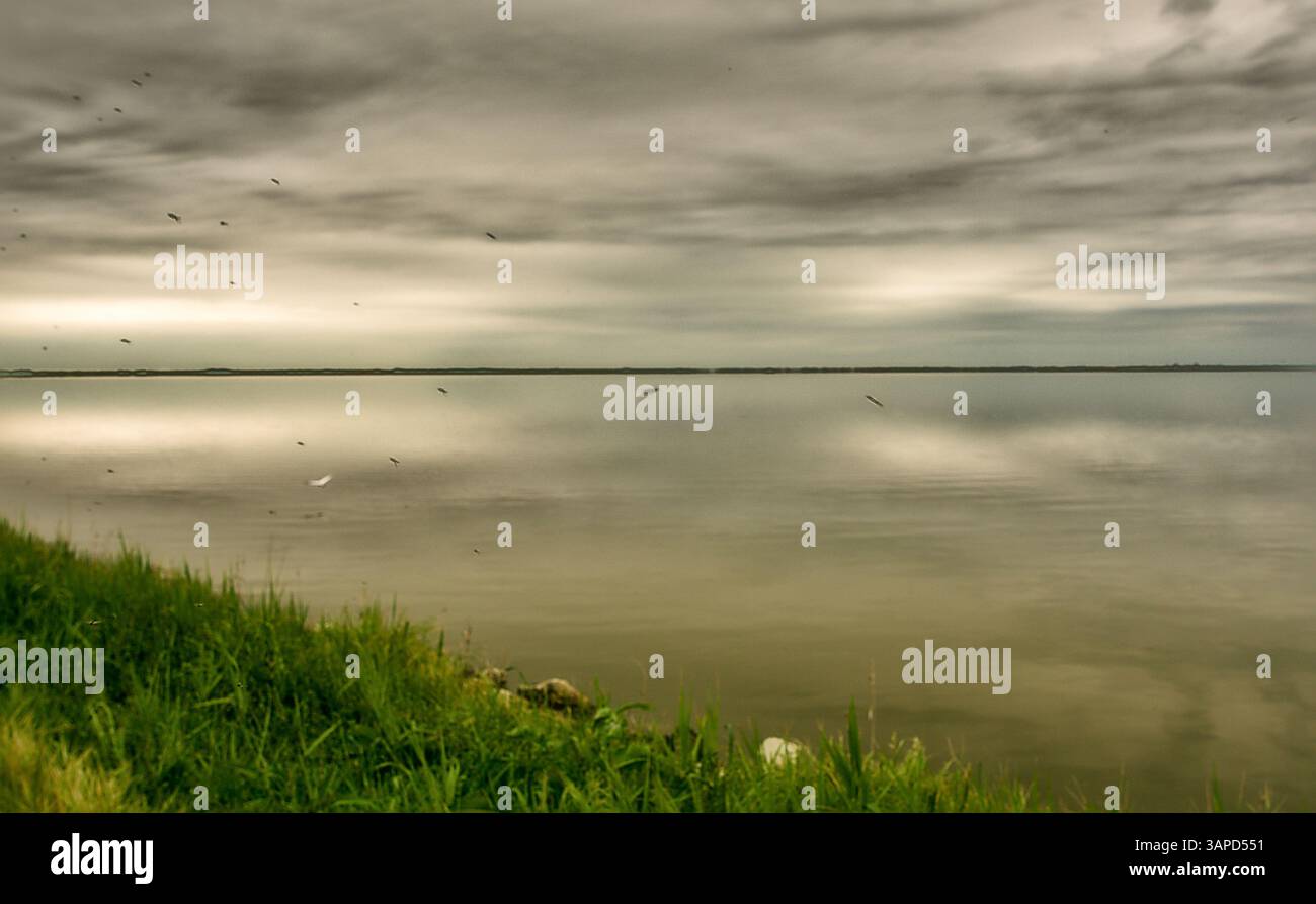 Das Valli di Comacchio liegt ruhig zwischen Emilia und Romagna (Italien) Stockfoto