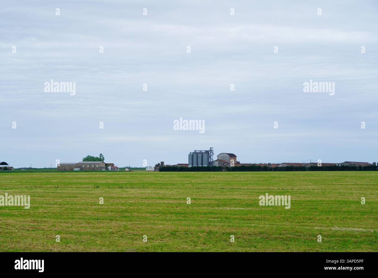 Das Valli di Comacchio liegt ruhig zwischen Emilia und Romagna (Italien) Stockfoto