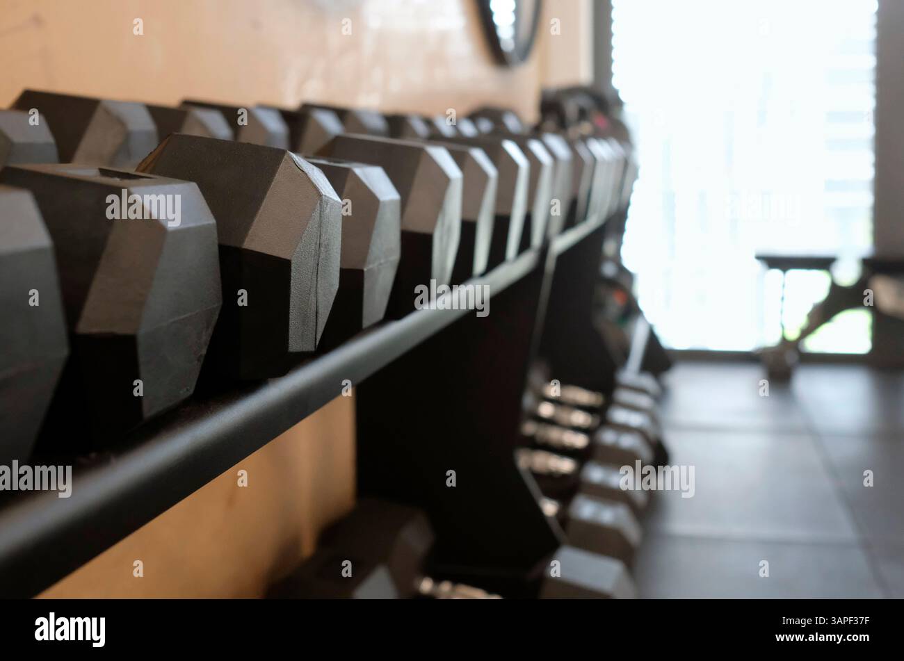 Selektive Fokussierung auf ein Gewichtsregal im Fitnessstudio Stockfoto