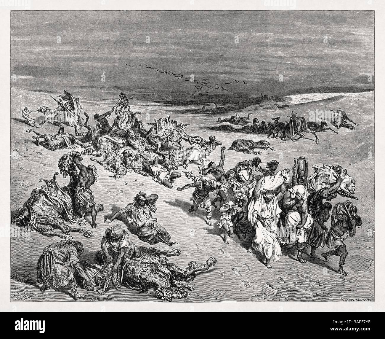 Gravur, die die Fünfte Pest - Viehseuche darstellt, im Jahr 1866 von Gustave Doré hergestellt, um eine Neuausgabe der Heiligen Bibel zu illustrieren. Stockfoto