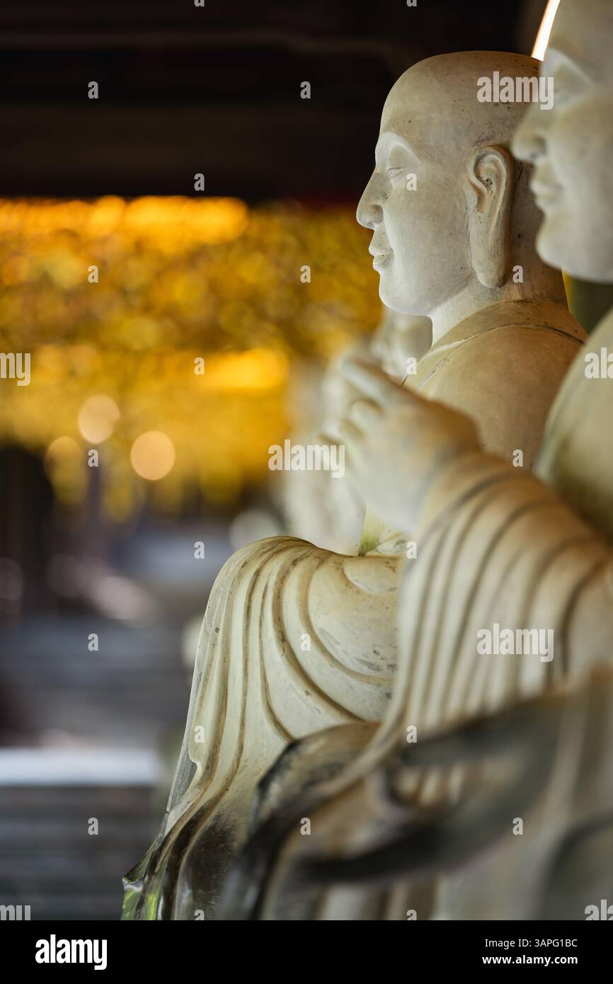 Nahaufnahme von ruhigen Buddha-Statuen in einem Tempelgang mit weichem goldenem Bokeh im Hintergrund. Die Komposition ruft Ruhe, Achtsamkeit und Geist hervor Stockfoto