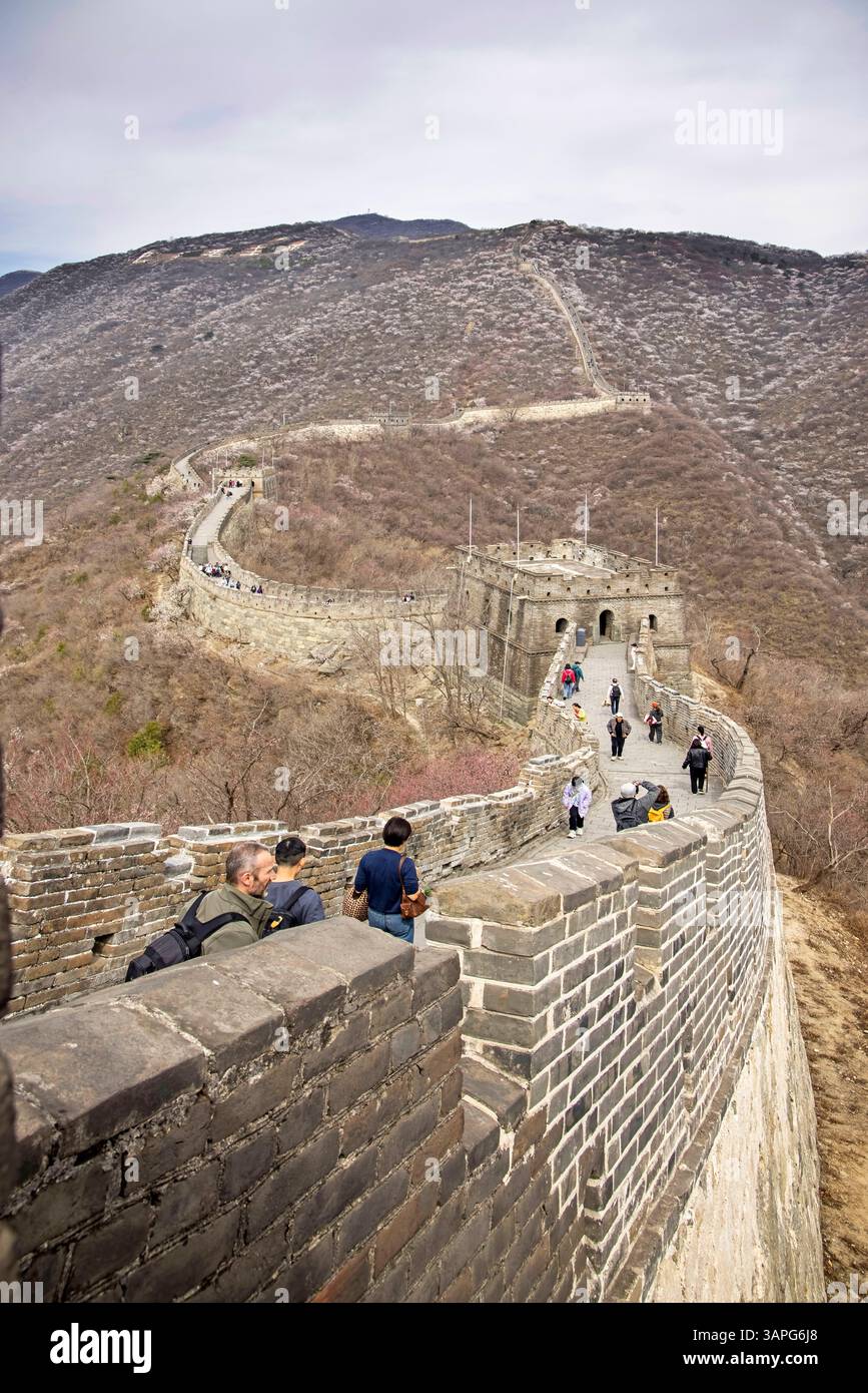 Menschen laufen entlang der großen Mauer von china zwischen den Türmen 14 und 20 bei mutianyu Stockfoto