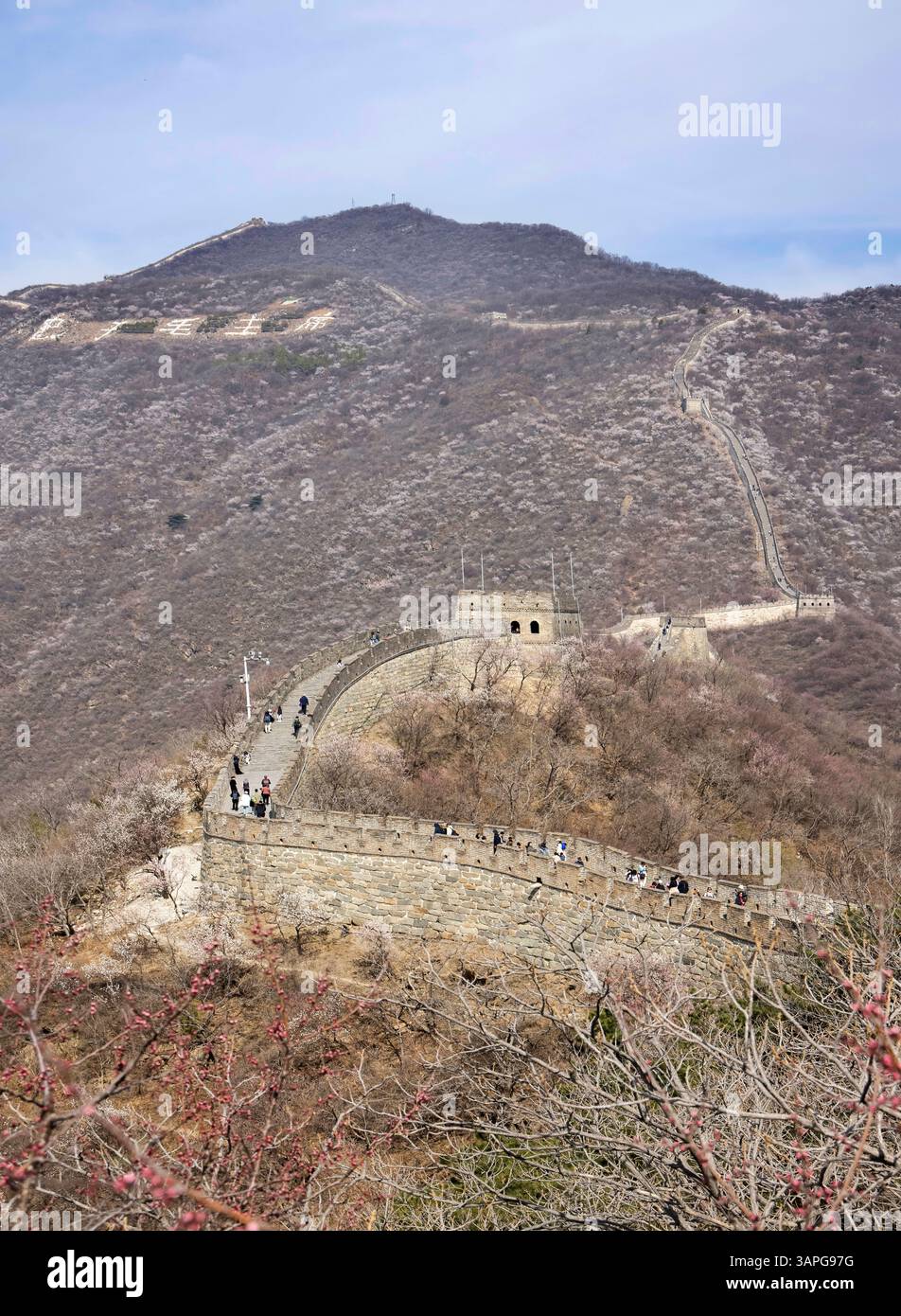 Menschen laufen entlang der großen Mauer von china zwischen den Türmen 14 und 20 bei mutianyu Stockfoto