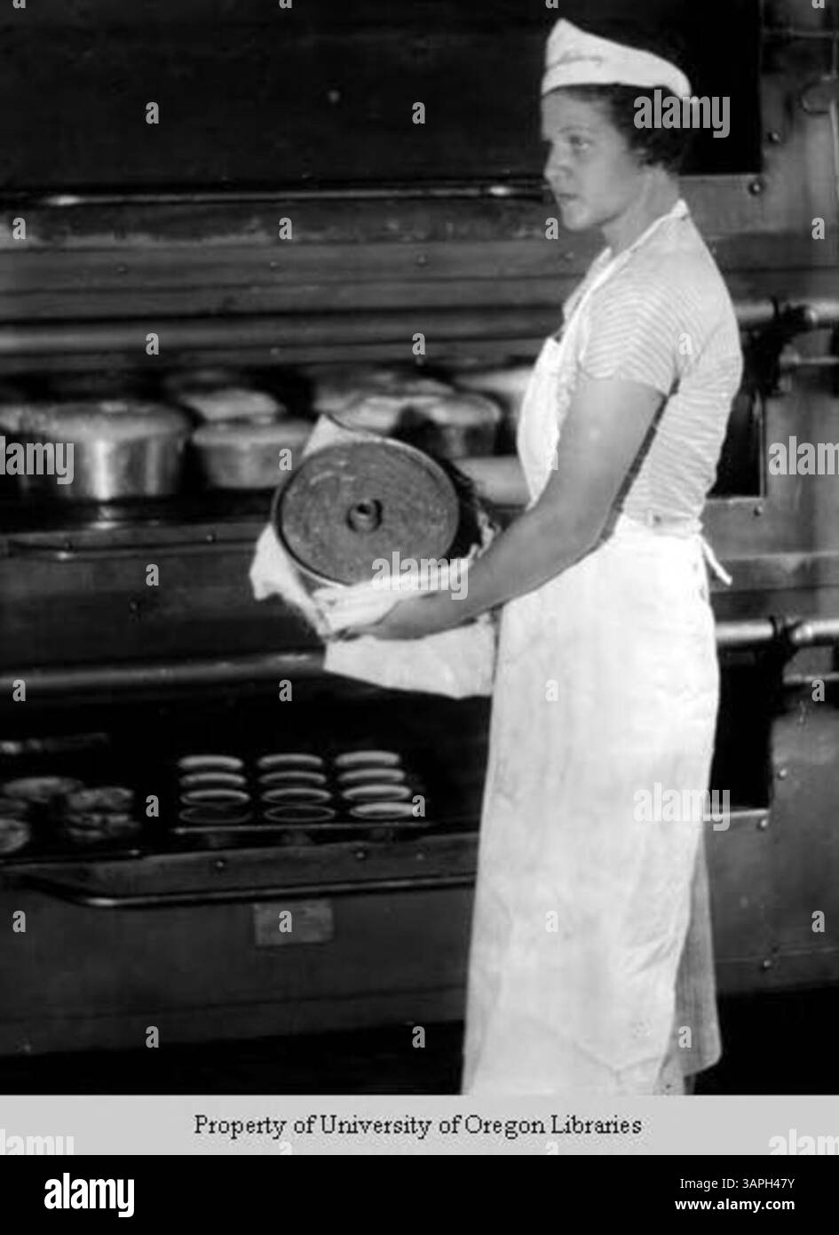 Foto von frischen Kuchen aus der Bäckerei im Berea College, die ihre Backservices und Produkte präsentiert. Stockfoto