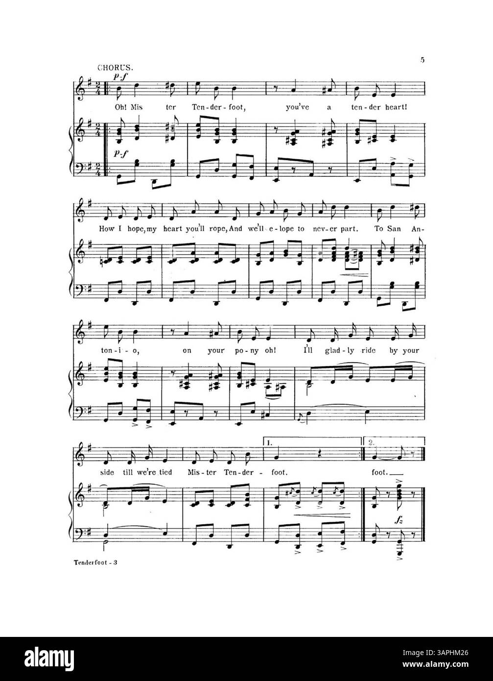 Die zweite Seite enthält eine ganzseitige Werbung für Jerome H. Remick & Co.'s neueste Publikationen, einschließlich eines musikalischen Ausschnitts aus What's the Matter with Father von Williams und Van Alstyne. Die Rückseite zeigt eine weitere Werbung für Remick & Co., mit einem Auszug aus „The Moonlight, the Rose and You“ von Chas E. Baer und Johann C. Schmid. Stockfoto