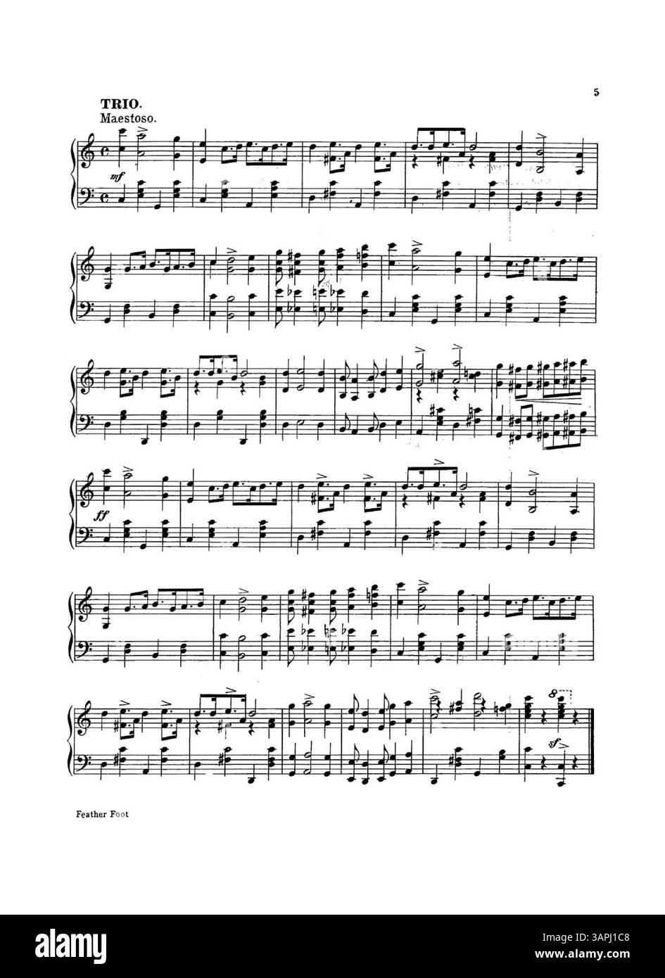 Auf der Rückseite von „Feather Foot“ wird eine Werbung für „Southern Beauties“ von Chas präsentiert. L. Johnson mit Kennziffer 1326 und Musikauszügen. Stockfoto