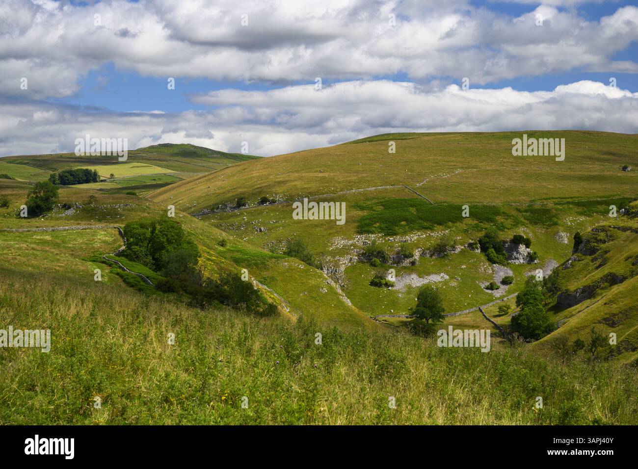 Hohe Aussicht auf Troller's Gill (abgelegene malerische Kalksteinschlucht mit steilen Seiten) und sonnendurchflutete Weiden und Hügel - Skyreholme, Yorkshire Dales, England, Großbritannien. Stockfoto