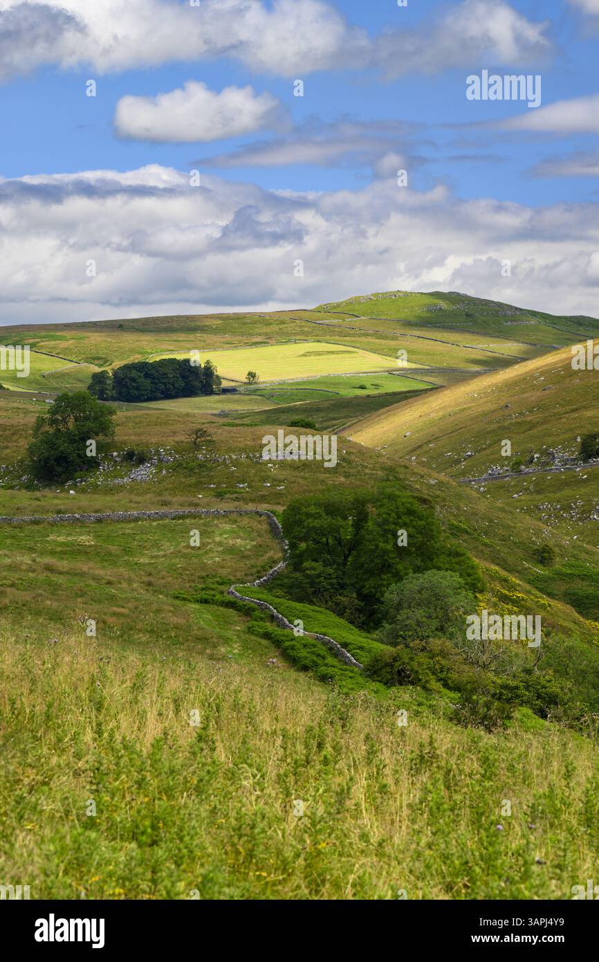 Hohe Aussicht auf Troller's Gill (abgelegene malerische Kalksteinschlucht mit steilen Seiten) und sonnendurchflutete Weiden und Hügel - Skyreholme, Yorkshire Dales, England, Großbritannien. Stockfoto