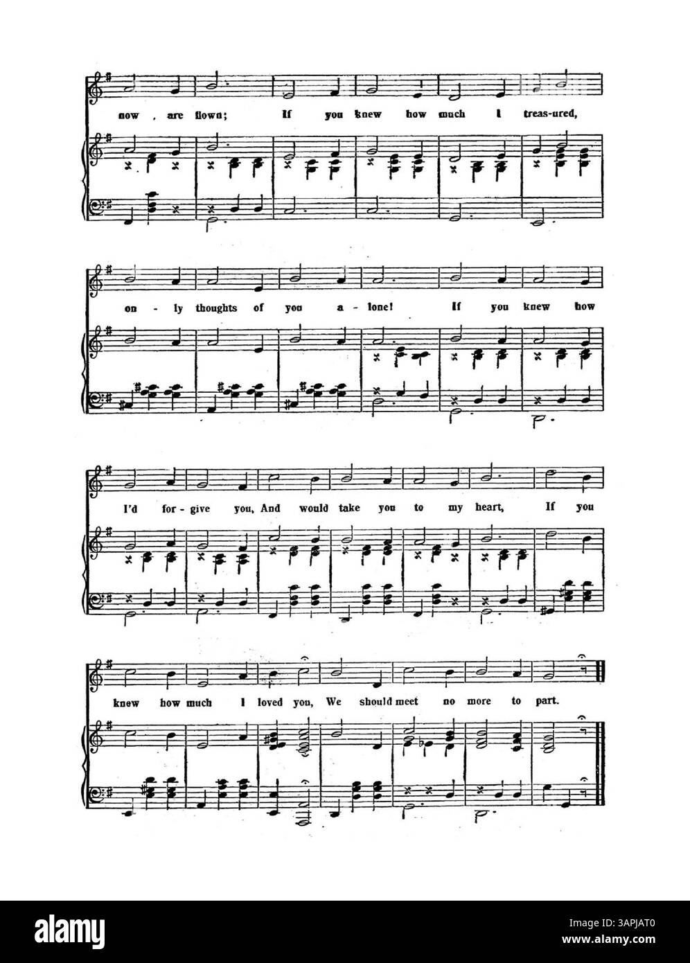 Eine Musikergänzung des New York American and Journal vom 23. Juli 1905 mit dem Lied If You Known How much I Loved You, geschrieben, komponiert und gesungen von Miss Emily Smith. Die Farbdarstellung im digitalen Bild kann vom Original abweichen und Beschriftungen sind auf Anfrage erhältlich. Stockfoto