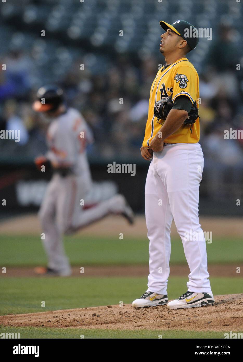 15. August 2011 – Oakland, CA, USA – Oakland Athletics Pitcher Gio Gonzalez reagiert, nachdem er im zweiten Inning des Spiels am Montag, den 15. August 2011 im O.Co Coliseum in Oakland, Kalifornien, einen Solo-Heimlauf gegen Matt Wieters von Baltimore Orioles aufgegeben hatte. (Kreditbild: © Jose Carlos Fajardo/Contra Costa Times/MCT/ZUMAPRESS.com) Stockfoto