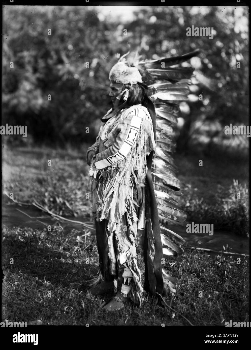 Dieses Foto zeigt Häuptling PEO, einen Stammesmann der Umatilla, gekleidet in verschiedenen Insignien, die seine Stammeskultur und sein Erbe repräsentieren. Stockfoto