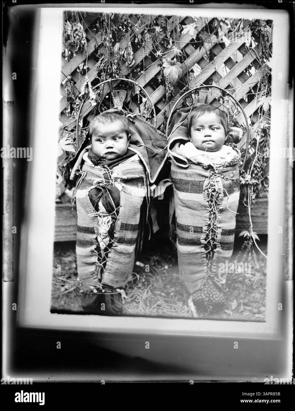 Dieses Bild zeigt Cayuse-Zwillinge und hebt die kulturelle Bedeutung von Zwillingen innerhalb der indianischen Gemeinschaften sowie ihre historische Bedeutung in der Stammeskultur hervor. Stockfoto