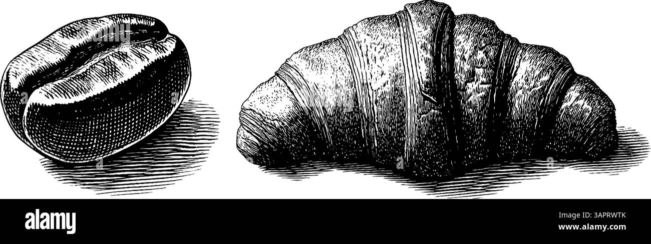 Gravurset mit tropischen Früchten mit Kokos, Ananas und Banane für Designzwecke. Stock Vektor