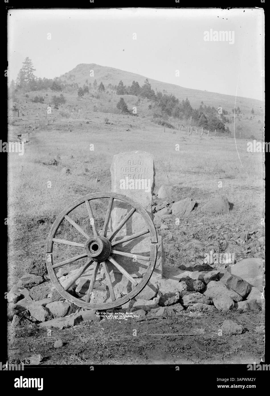 Ein Foto des Oregon Trail Markers am Fuße der Blue Mountains in der Nähe von La Grande, das ein bedeutendes historisches Wahrzeichen entlang des Oregon Trail widerspiegelt. Stockfoto