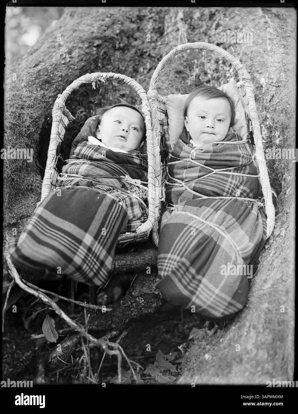 Dieses Foto zeigt Siletz-Zwillingskinder in Korb-Wiegen, ein Porträt, das das frühe Familienleben der Ureinwohner in Amerika einfängt. Stockfoto