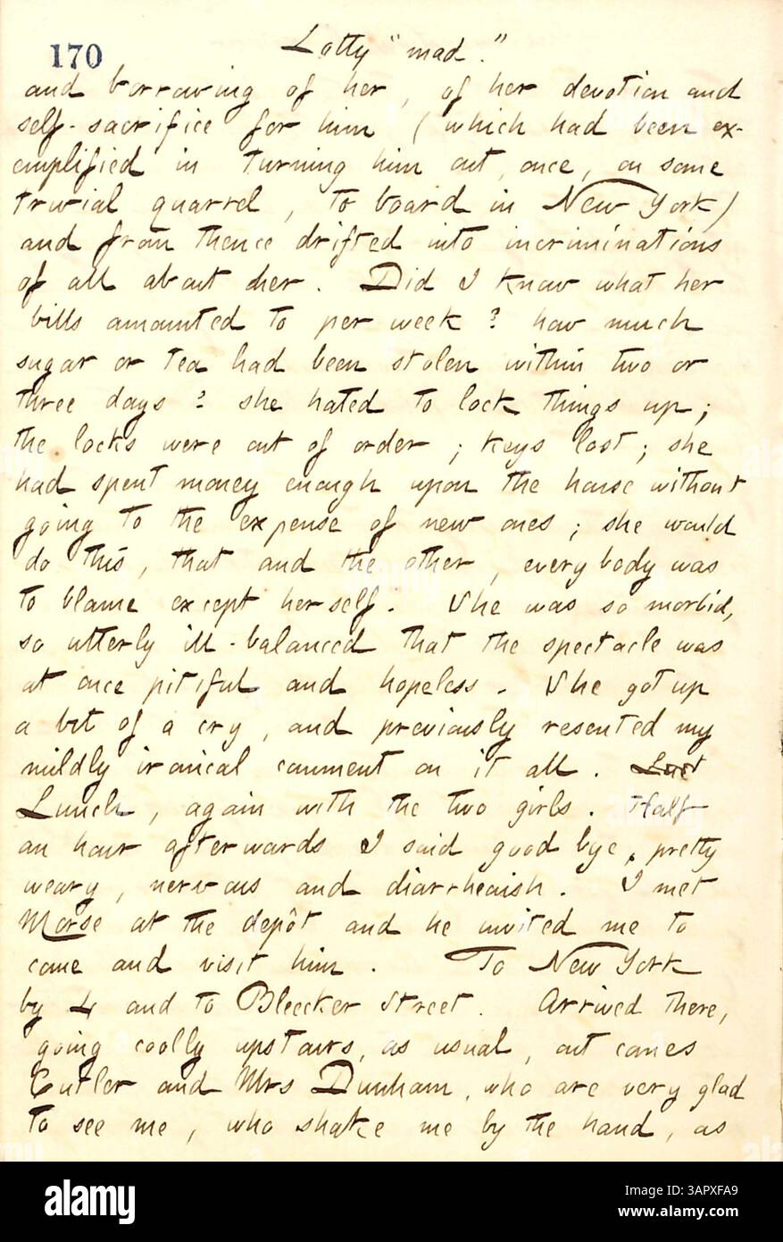 Dieser Auszug aus Thomas Butler Gunns Tagebuch vom 28. April 1860 beschreibt einen Besuch bei Lotty Kidder in Fordham. Sie zeichnet ihr irrationales Verhalten und ihre Selbstbezogenheit auf und unterstreicht ihren unberechenbaren emotionalen Zustand. Stockfoto