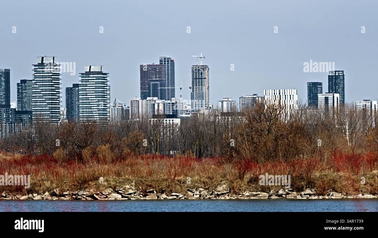 Die Skyline von Toronto aus Stahl und Glas blickt von den wilderen Ecken des Tommy Thompson Park. Baukräne und dichte Türme spiegeln t Stockfoto