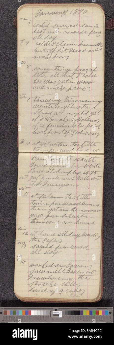 Dieses Tagebuch vom 1. Mai 1888 bis 7. Januar 1891 enthält tägliche Einträge, die sich auf die Aktivitäten des Schriftstellers, die Finanzdaten und gelegentliche Überlegungen konzentrieren und einen persönlichen Einblick in das Leben des späten 19. Jahrhunderts geben. Stockfoto