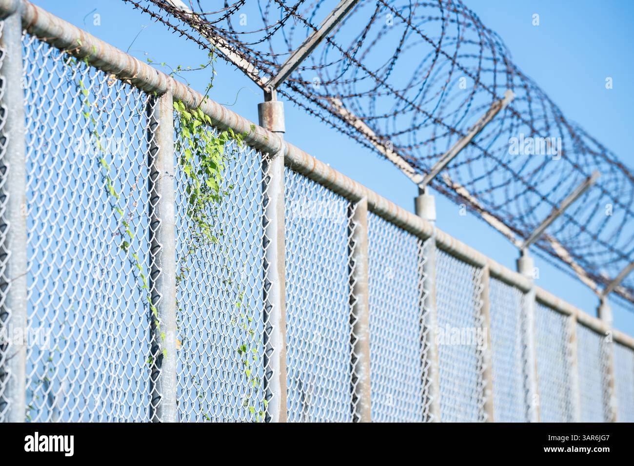 Stacheldrahtzaun symbolisiert Grenzkontrollen, geopolitische Spannungen und eingeschränkte Freiheiten in der modernen Gesellschaft. Sicherheitszaun mit Stacheldraht. Stockfoto
