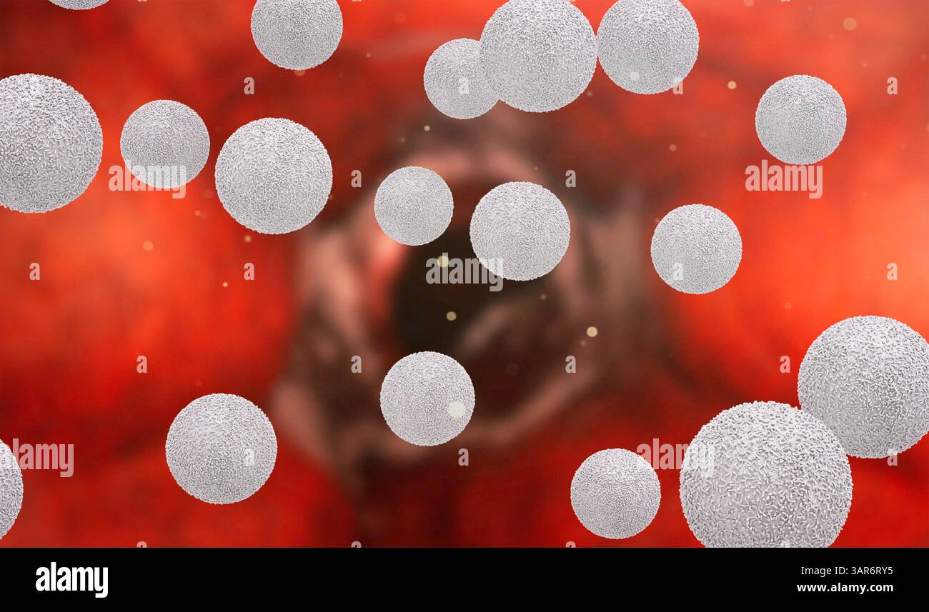 3D Rendering weiße Blutkörperchen in die Vene Stockfoto