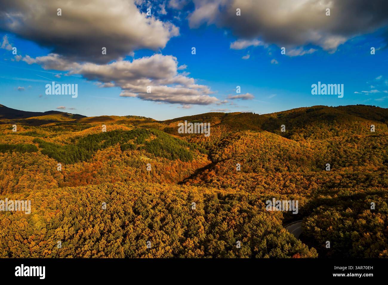Ein Blick aus der Vogelperspektive auf einen Herbstwald, der in warmen Orange-, Rot- und Goldtönen leuchtet, während sich eine gewundene Straße durch die farbenfrohe Landschaft schlängelt. Herbst in Stockfoto