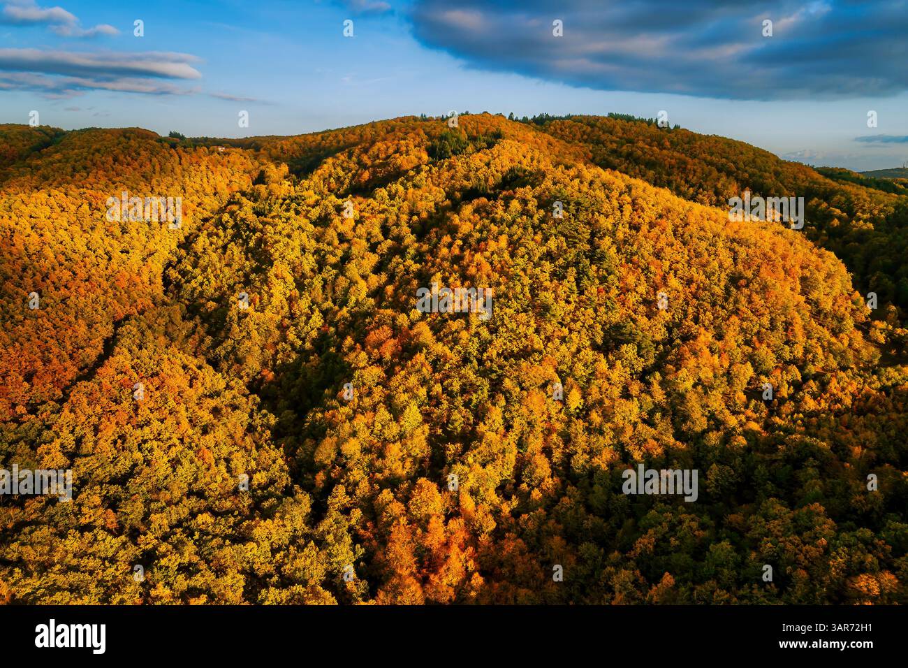 Ein Blick aus der Vogelperspektive auf einen Herbstwald, der in warmen Orange-, Rot- und Goldtönen leuchtet, während sich eine gewundene Straße durch die farbenfrohe Landschaft schlängelt. Herbst in Stockfoto