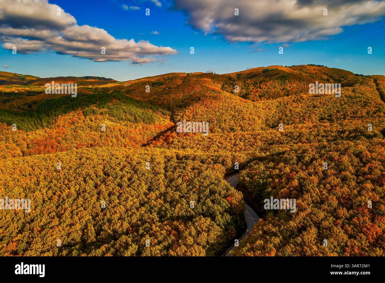 Ein Blick aus der Vogelperspektive auf einen Herbstwald, der in warmen Orange-, Rot- und Goldtönen leuchtet, während sich eine gewundene Straße durch die farbenfrohe Landschaft schlängelt. Herbst in Stockfoto