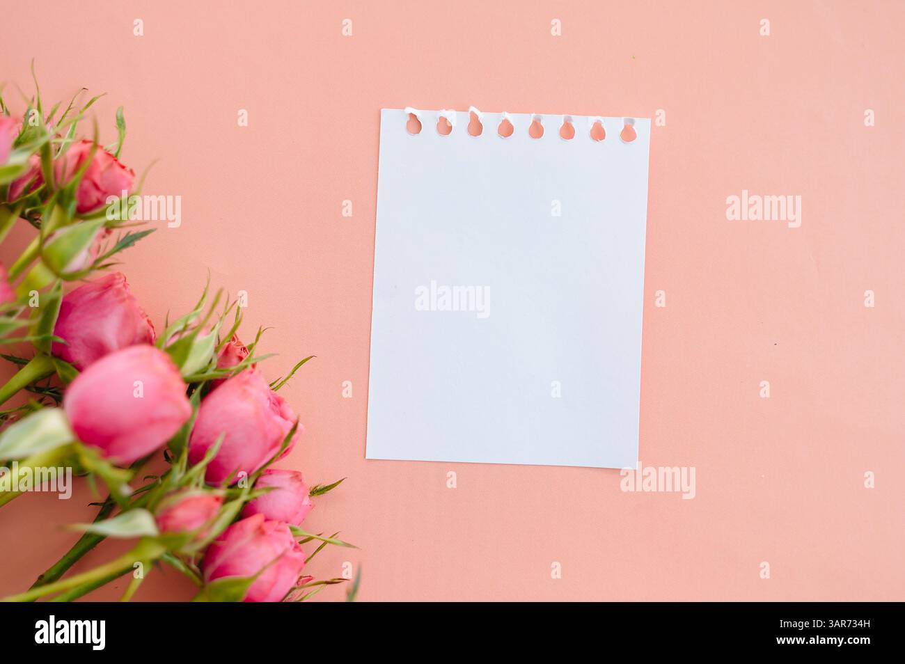 Leeres Dankeschön-Motiv auf floralem Hintergrund, Draufsicht, perfekt zum Erstellen von Nachrichten Stockfoto