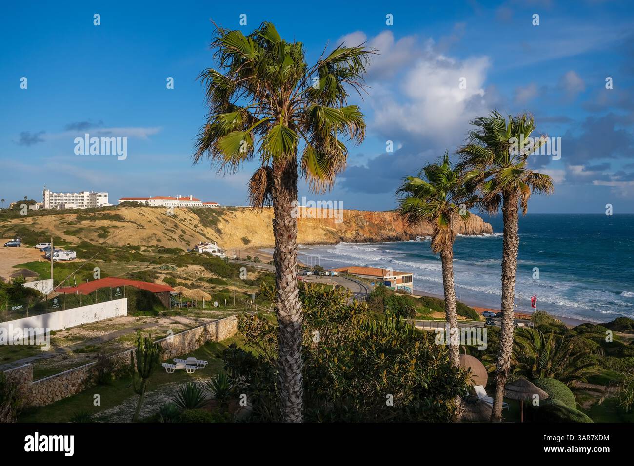 Sagres, Algarve, Portugal - Palmen am Stadtstrand Praia da Mareta, mit dem Aussichtspunkt Ponta da Atalaia im Hintergrund. Stockfoto
