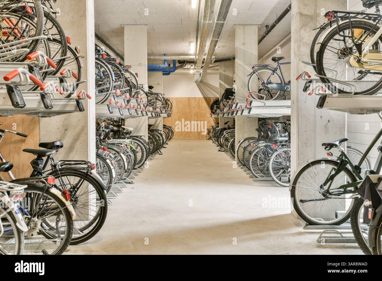 Ein organisierter Innenblick auf eine moderne Fahrradaufbewahrung mit mehreren Racks voller Fahrräder in einer sauberen und geräumigen Umgebung. Stockfoto