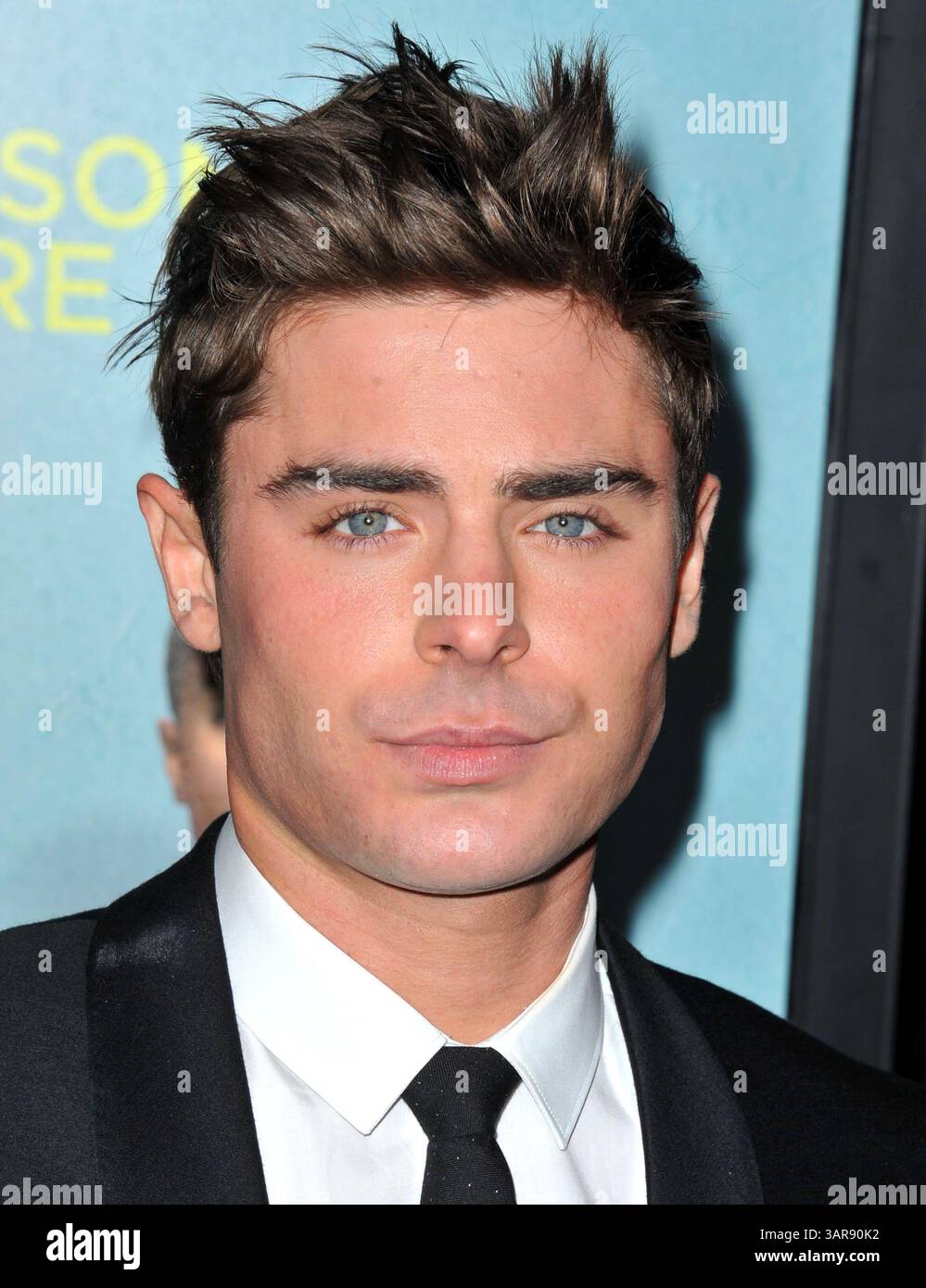 Zac Efron bei der Premiere von „That Peinward Moment“ in Los Angeles am 27. Januar 2014 Stockfoto