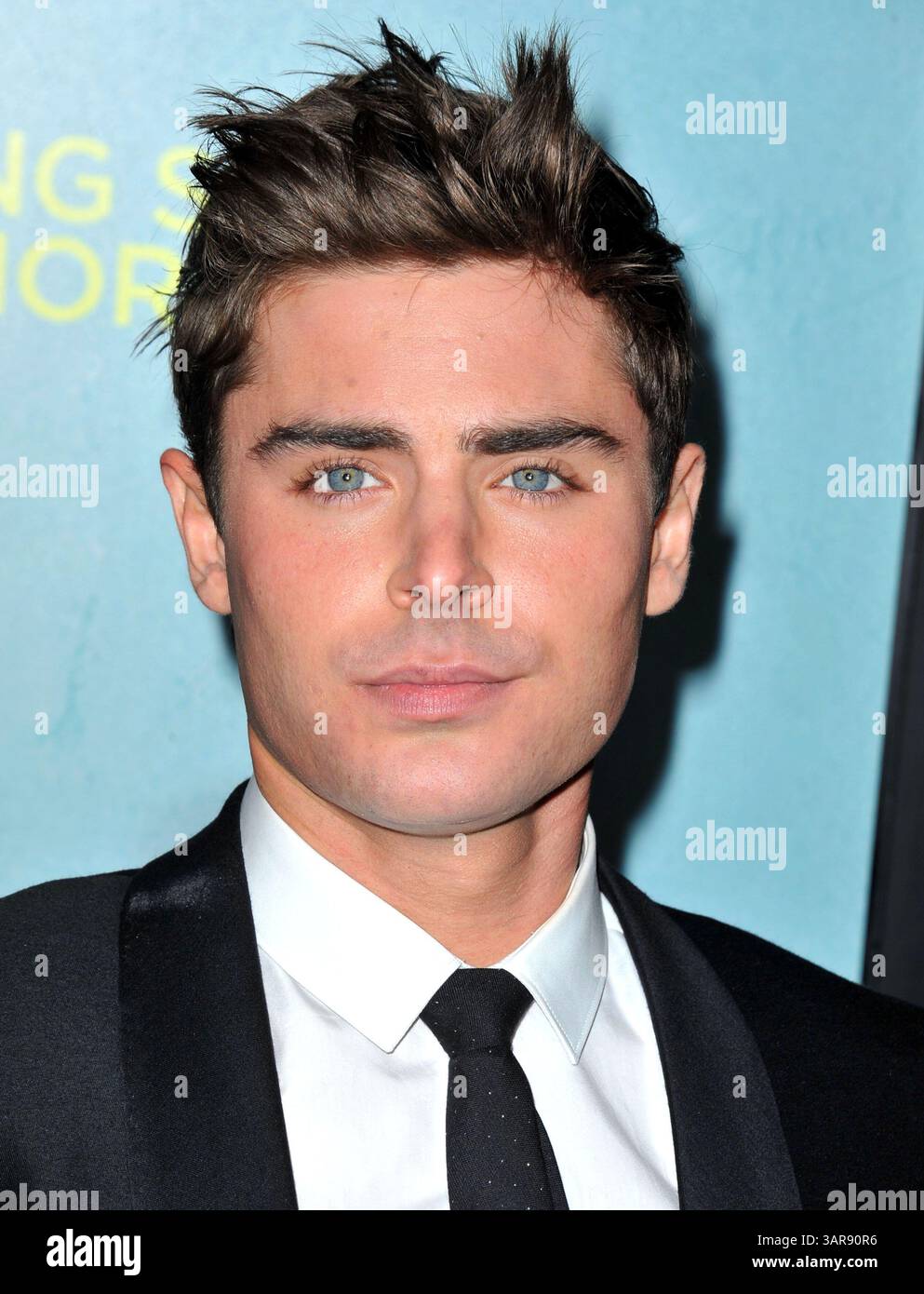 Zac Efron bei der Premiere von „That Peinward Moment“ in Los Angeles am 27. Januar 2014 Stockfoto
