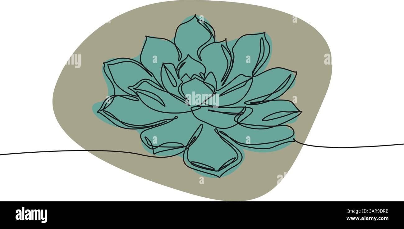 Kontinuierliche Einzeilenzeichnung der sukkulenten Pflanze echeveria, Strichkunstvektorillustration Stock Vektor