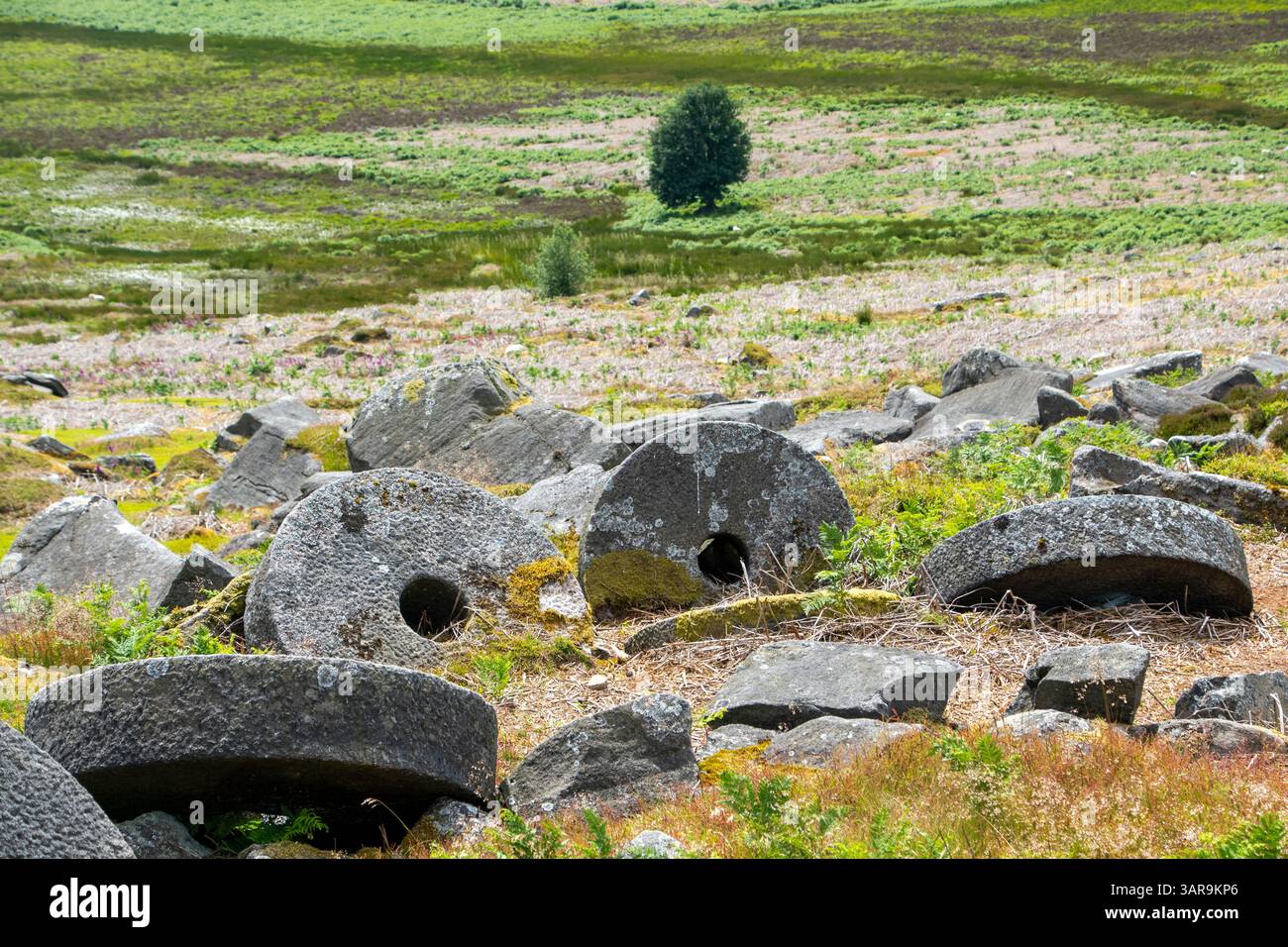 Derbyshire, Großbritannien – 5. Juli 2024: Mehrere Mühlsteine liegen im Moorland des Peak District Stockfoto