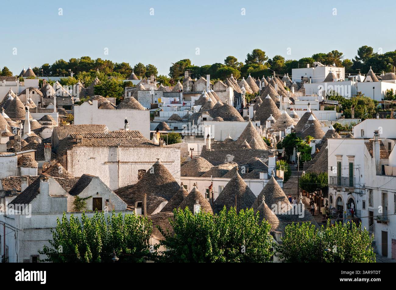 Blick auf die kegelförmigen Dächer des Trulli, Alberobello, Apulien, Italien Stockfoto