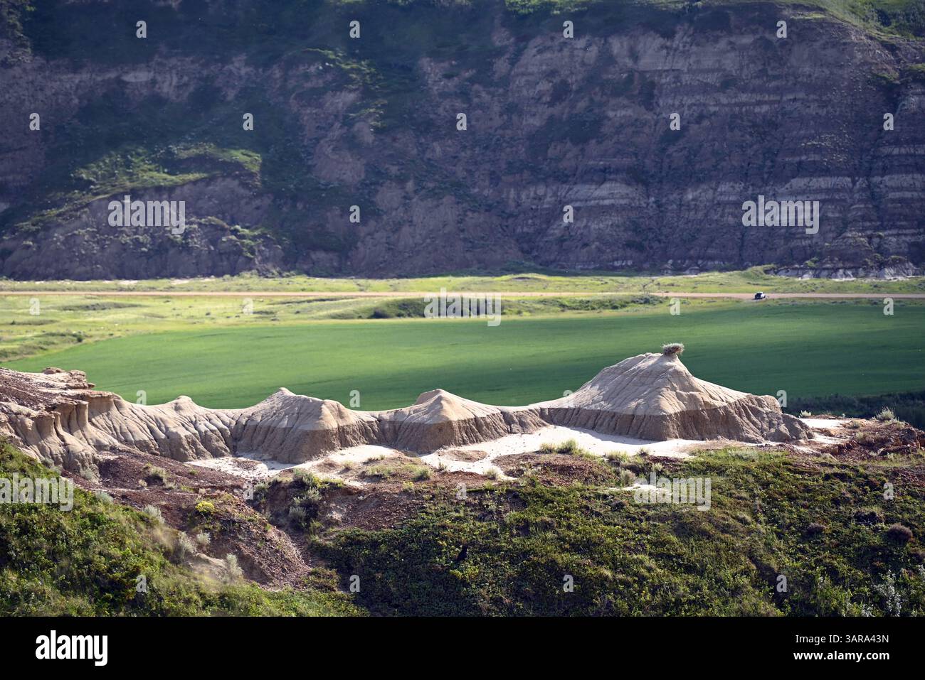 Blick auf das Tal des Red Deer River in der Nähe der Stadt Drumheller, Alberta, Kanada. Stockfoto