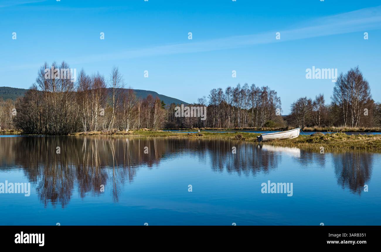 Fischteich, Fischzucht Rothiemurchas oder Fischereien mit Silberbirkentresse im Wasser, Aviemore, Schottland, Vereinigtes Königreich Stockfoto