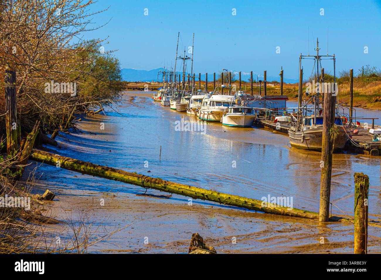 Scotch Pond Inlet bei Ebbe in Richmond BC Kanada Stockfoto