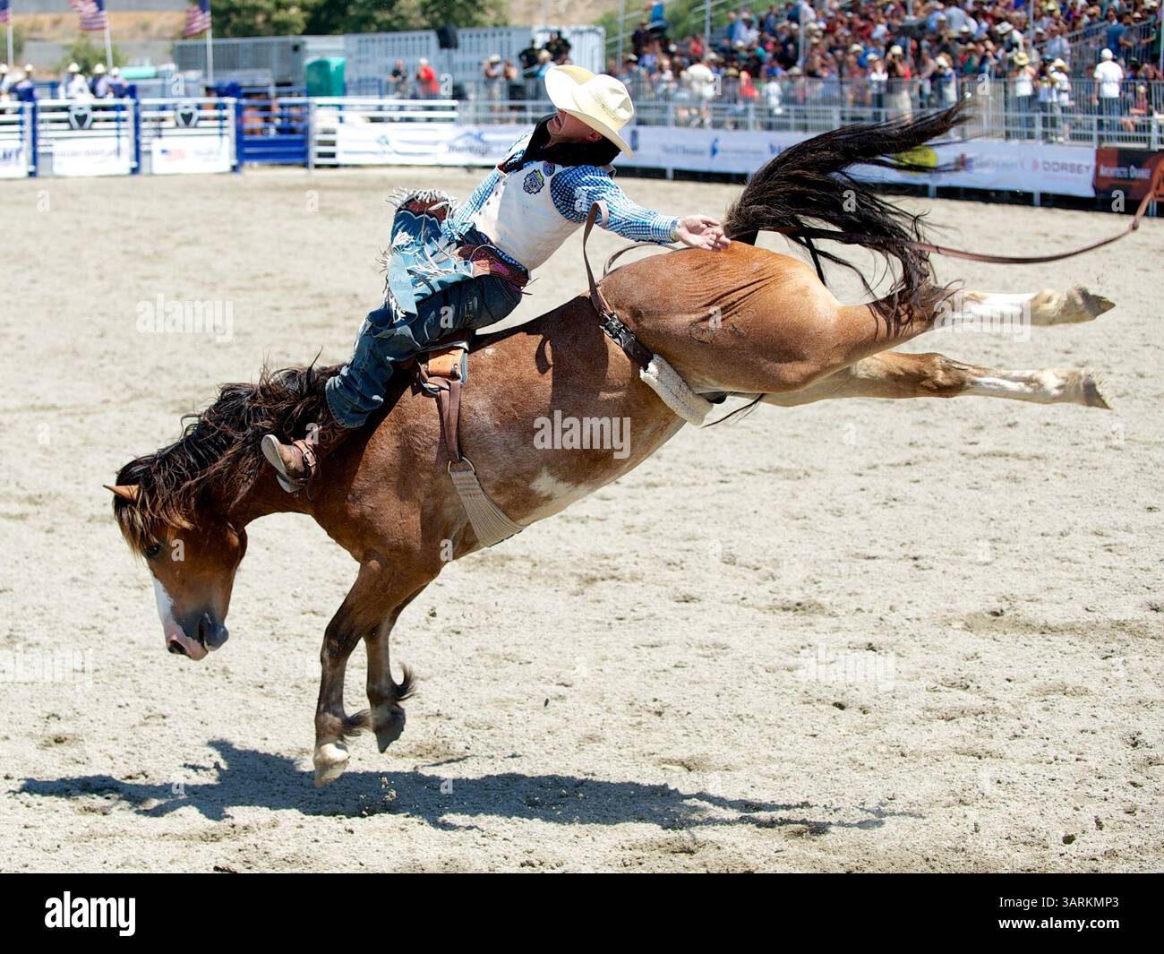 25. August 2013 - San Juan Capistrano, Kalifornien, USA - Bareback-Fahrer Seth Hardwick von Laramie, WY Rides Pinball Wizard bei der Rancho Mission Viejo Rodeo in San Juan Capistrano, CA. (Bild: © Matt Cohen/ZUMAPRESS.com) Stockfoto