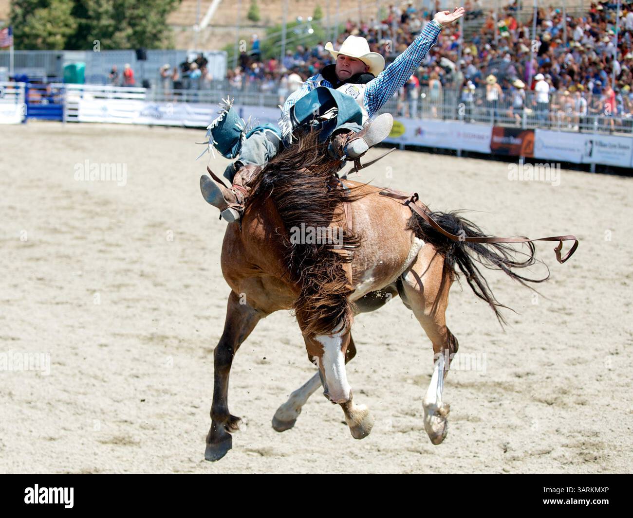 25. August 2013 - San Juan Capistrano, Kalifornien, USA - Bareback-Fahrer Seth Hardwick von Laramie, WY Rides Pinball Wizard bei der Rancho Mission Viejo Rodeo in San Juan Capistrano, CA. (Bild: © Matt Cohen/ZUMAPRESS.com) Stockfoto