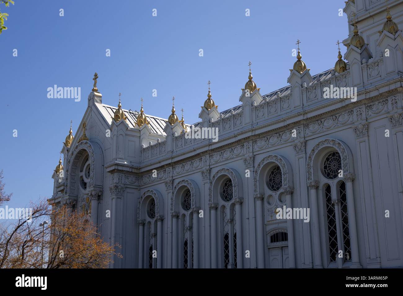 Die Bulgarisch-orthodoxe Stephanskirche oder auch bekannt als Eiserne Kirche und Sveti Stefan in Istanbul, Balat Stockfoto