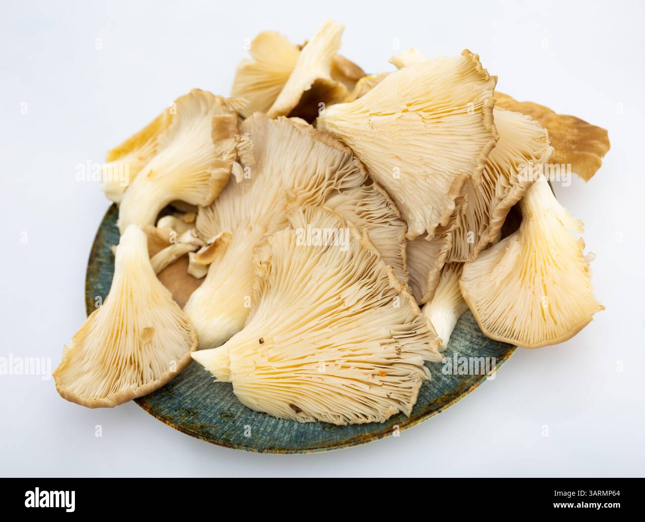 Es gibt einen Haufen roher Austernpilze auf dem Schneidebrett. Stockfoto