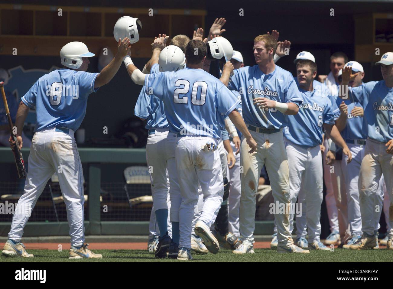 8. Juni 2013 - Chapel Hill, NC, USA - Skye Bolt (20) aus North Carolina wird von Teamkollegen begrüßt, nachdem er zusammen mit Cody Stubbs (25) bei einer Single von Brian Holbertson (10) gegen South Carolina im sechsten Inning eines NCAA Super Regional im Boshamer Stadium in Chapel Hill, North Carolina, am Samstag, 8. Juni 2013 einen Treffer erzielt hat. (Bild: © Robert Willett/MCT/ZUMAPRESS.com) Stockfoto