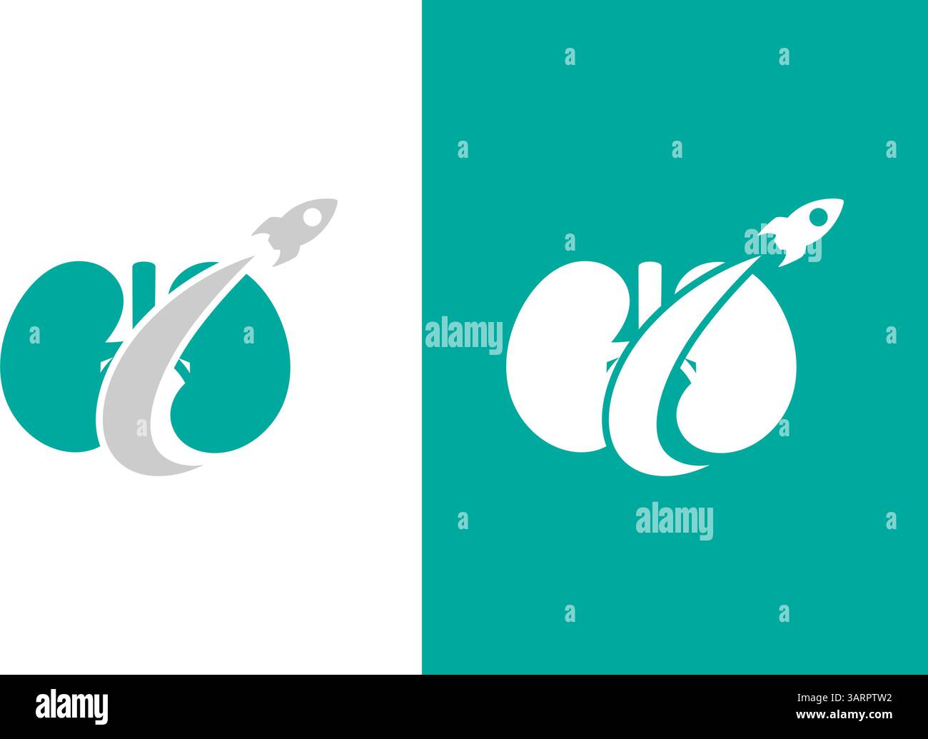 Menschliche Nieren und Raketenlogo-Kombination. Design-Vorlage für den Logotyp der Nierenanatomie. Stock Vektor