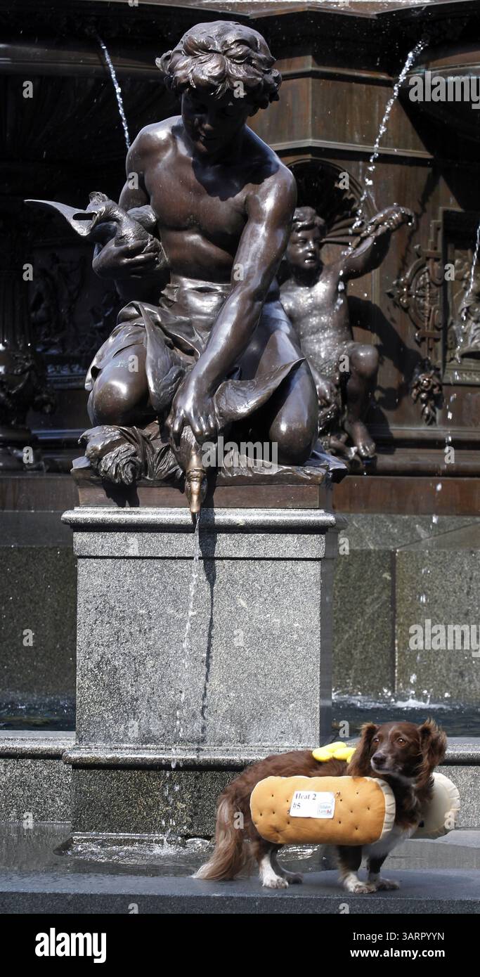 September 2013 - Cincinnati, Ohio, USA S - H-Bombe steht am Tyler Davidson Fountain, der am 20. September 2013 in Downtown Cincinnati, Ohio, steht. Mit seinem Hot Dog Bun Outfit sein Rennen beim Oktoberfest Zinzinnati Rennen der Wieners . Als 100 Dackelhunde in zehn Heat-Rennen rennen. Ein 1-Meisterschaftsrennen während der Annaul-Veranstaltung am Eröffnungstag des Oktoberfestes Zinzinnati. (Bild: © Ernest Coleman/ZUMAPRESS.com) Stockfoto