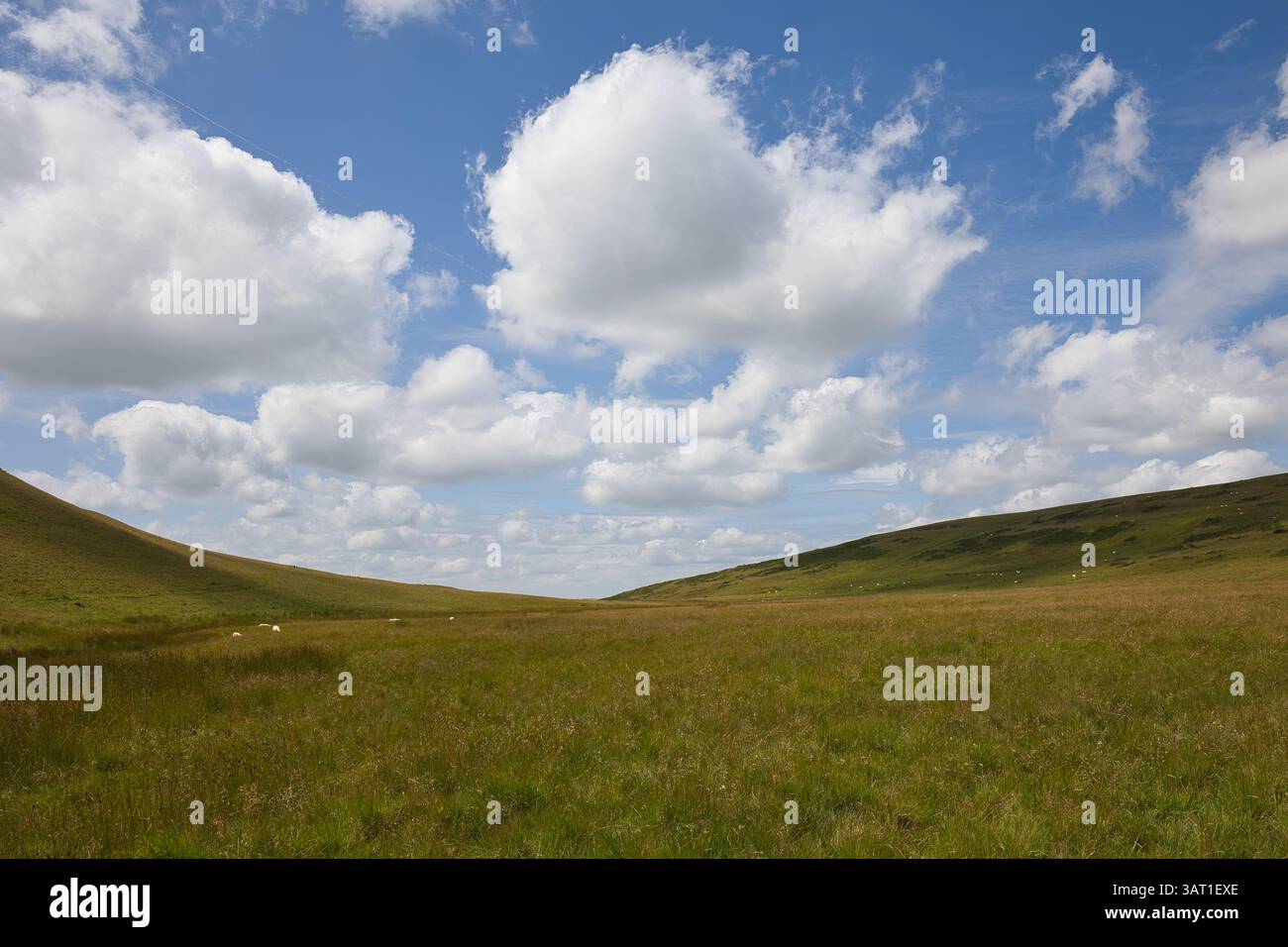 Dieser Blick auf die Hügel im Brecon Beacons National Park zeigt nur Wolken, Wiesen und einige Schafe als weiße Punkte. Stockfoto