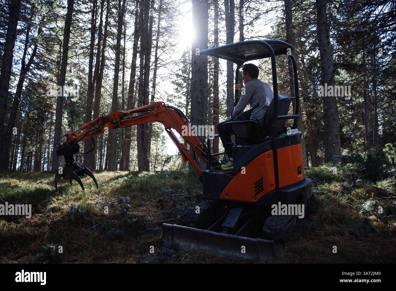 Man bedient Minibagger im Südtiroler Wald Stockfoto